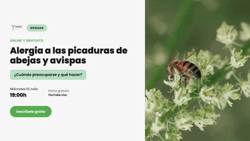 Alergia a picaduras de abejas y avispas: diagnóstico y tratamiento
